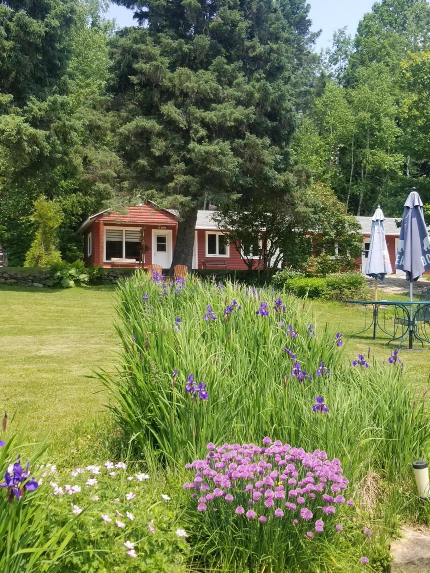 Kan-A-Mouche Pourvoirie Auberge Et Chalets Saint-Michel Værelse billede